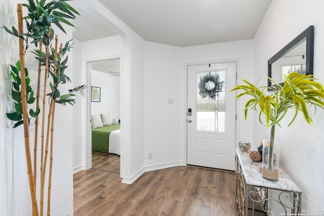 foyer entrance featuring dark hardwood / wood-style floors