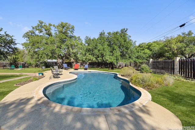 view of pool with a lawn and a patio area