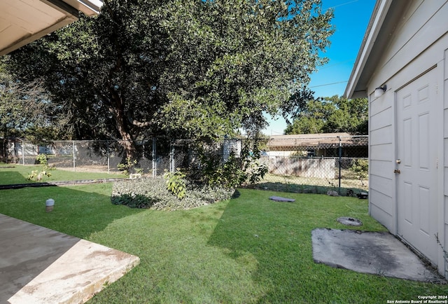 3947 Gayle Ave, San Antonio, TX 78223 - view of yard
