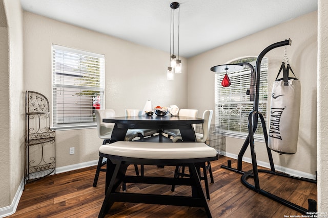 dining space featuring dark hardwood / wood-style flooring