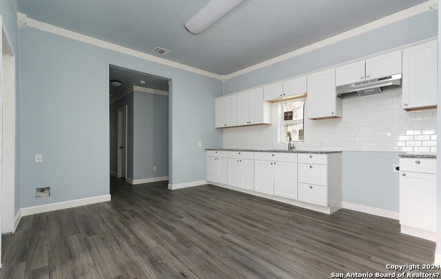 kitchen with backsplash, ornamental molding, dark wood-type flooring, sink, and white cabinetry