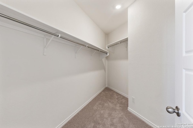 walk in closet with light colored carpet