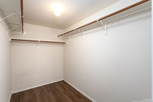 spacious closet with dark hardwood / wood-style flooring