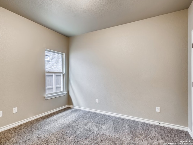 empty room featuring carpet flooring and a textured ceiling