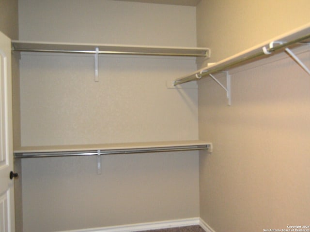 spacious closet featuring carpet