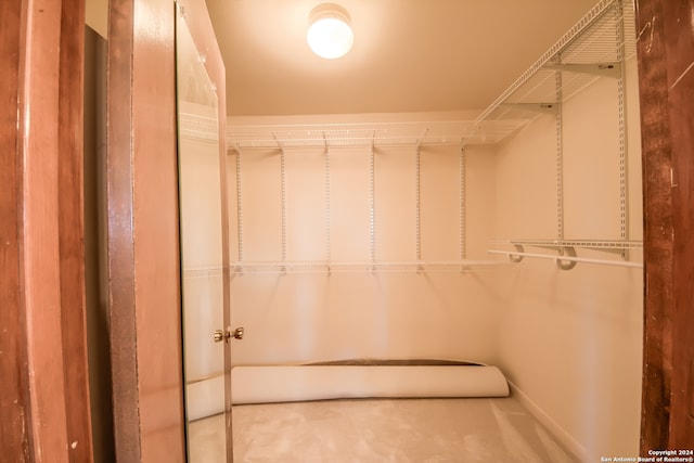 walk in closet featuring carpet floors