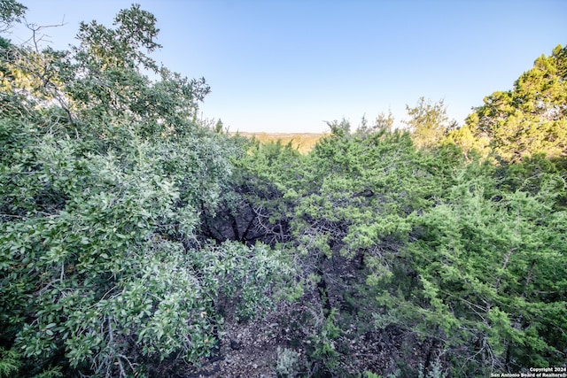 view of local wilderness