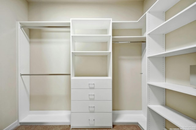 view of spacious closet