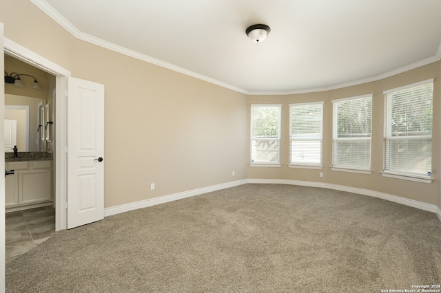 spare room featuring sink, light colored carpet, and crown molding