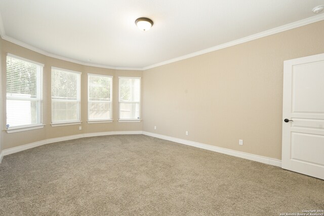 unfurnished room with carpet and crown molding