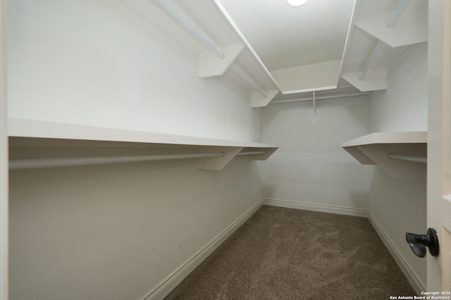 walk in closet with dark colored carpet