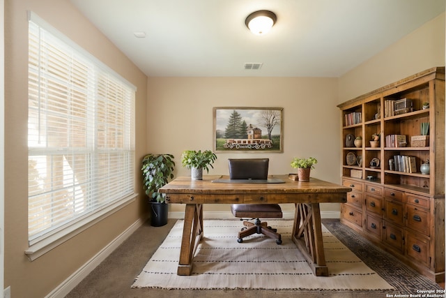 home office with carpet and a wealth of natural light