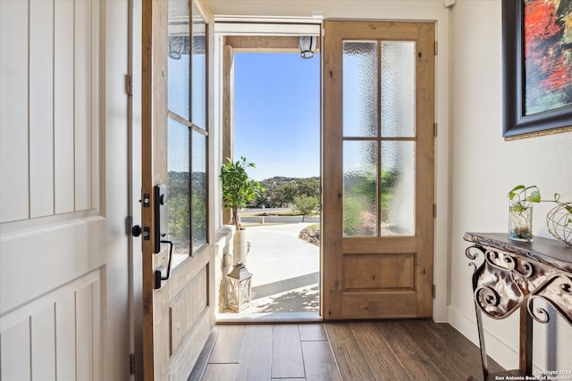 entryway with dark hardwood / wood-style flooring and plenty of natural light