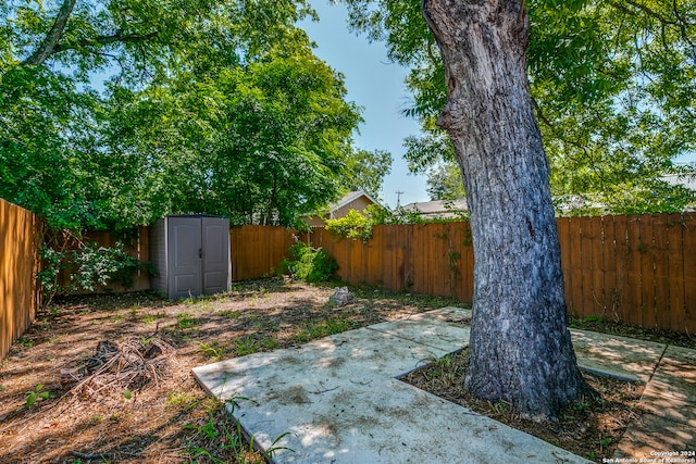 view of yard with a storage unit