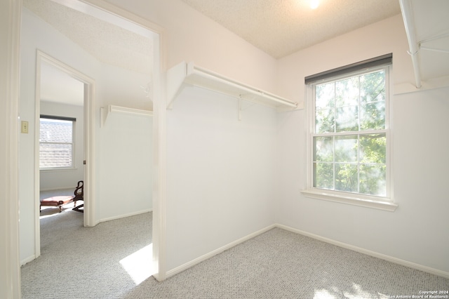 spacious closet with carpet