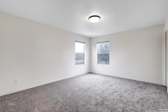 unfurnished room featuring carpet floors