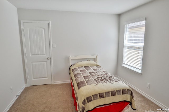 bedroom with carpet floors