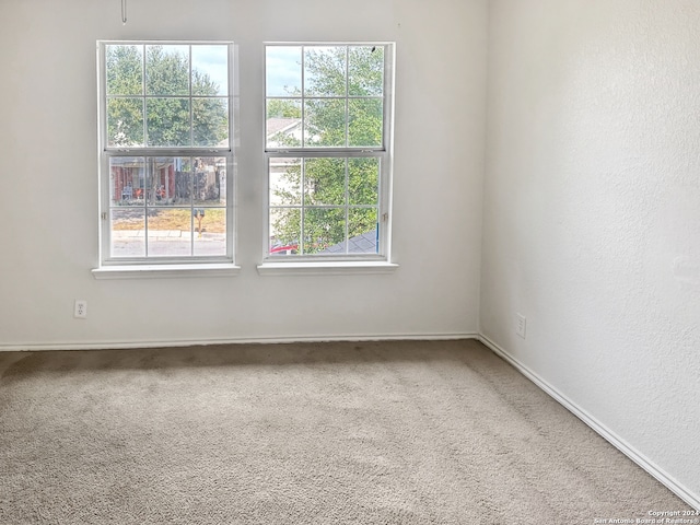 carpeted spare room with a wealth of natural light