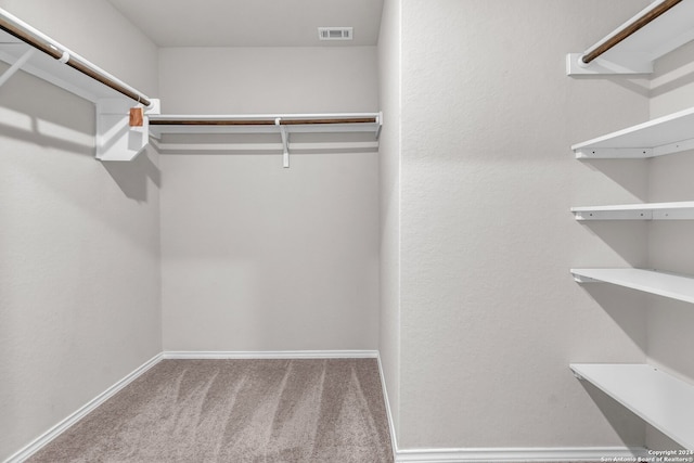 walk in closet featuring carpet