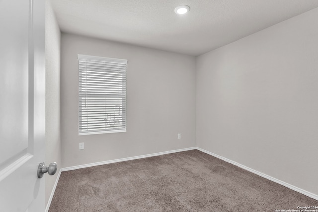 spare room with carpet flooring and a textured ceiling