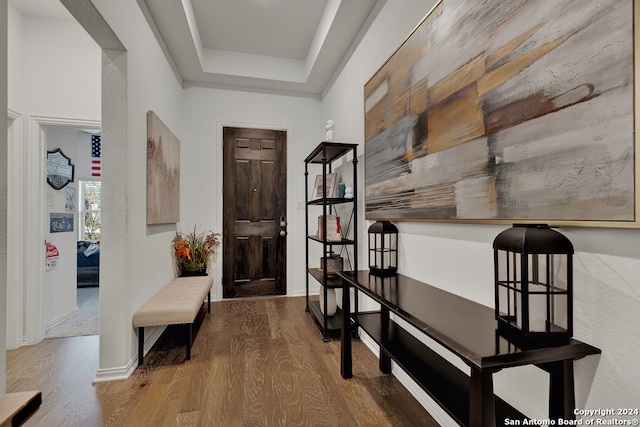 entrance foyer featuring a tray ceiling and wood-type flooring