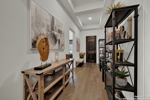 hall featuring a tray ceiling and wood-type flooring