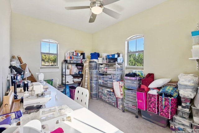 office space with a wealth of natural light, carpet floors, and ceiling fan