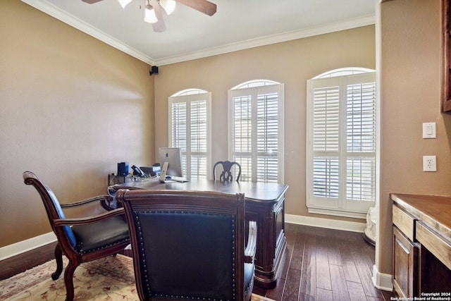 office featuring ceiling fan, crown molding, and dark wood-type flooring