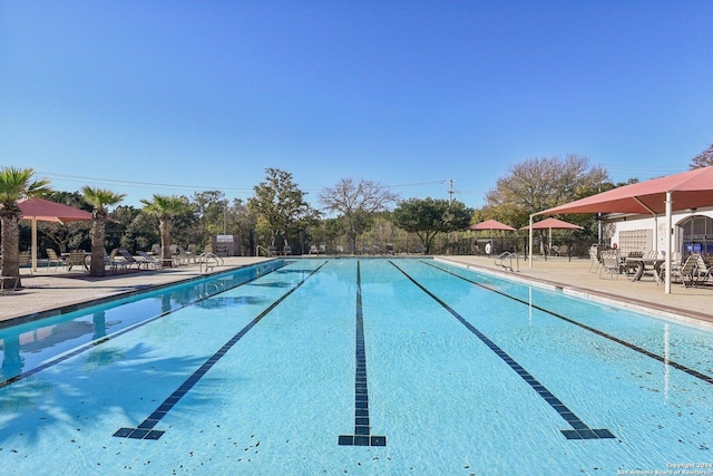 view of swimming pool with a patio