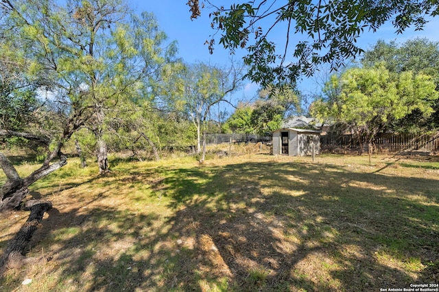 view of yard with a storage shed