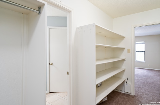 spacious closet featuring light colored carpet