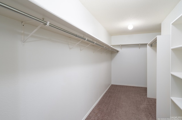 walk in closet featuring carpet