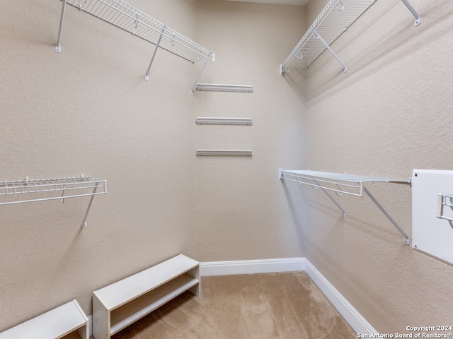 spacious closet with carpet floors