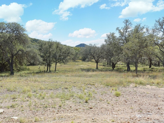 view of landscape with a mountain view and a rural view