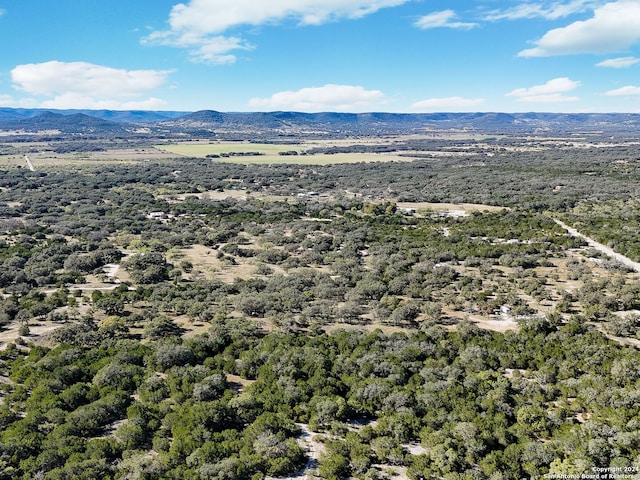 aerial view with a mountain view