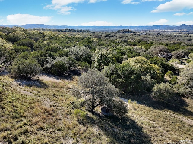 drone / aerial view featuring a mountain view