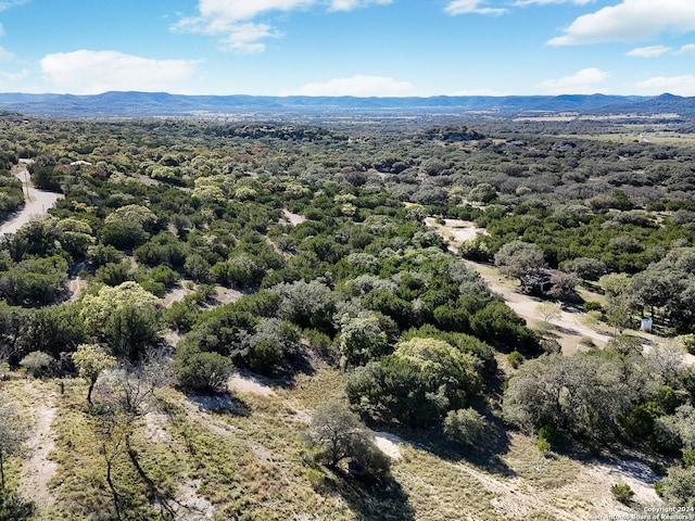 bird's eye view with a mountain view