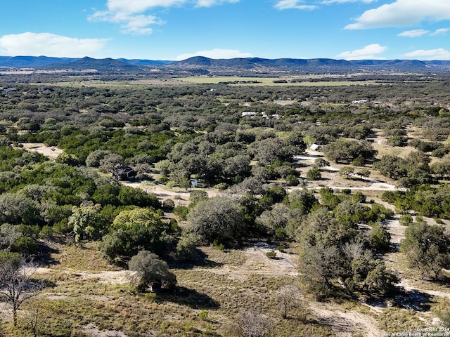 drone / aerial view with a mountain view