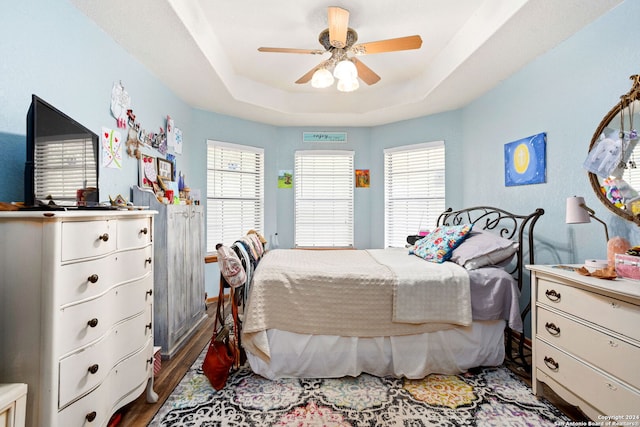 bedroom with a tray ceiling, multiple windows, and ceiling fan