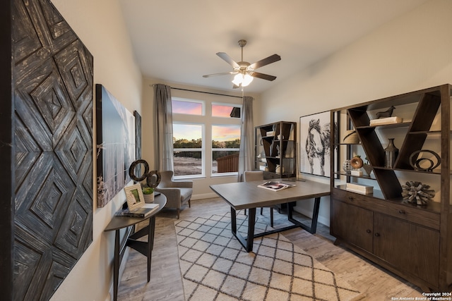 office space with ceiling fan and light wood-type flooring