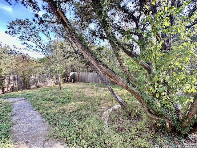 330 Agency Oaks, San Antonio, TX 78249 - view of yard