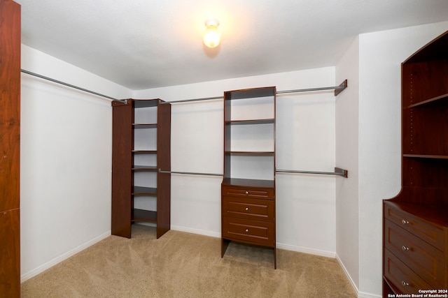 spacious closet featuring light carpet