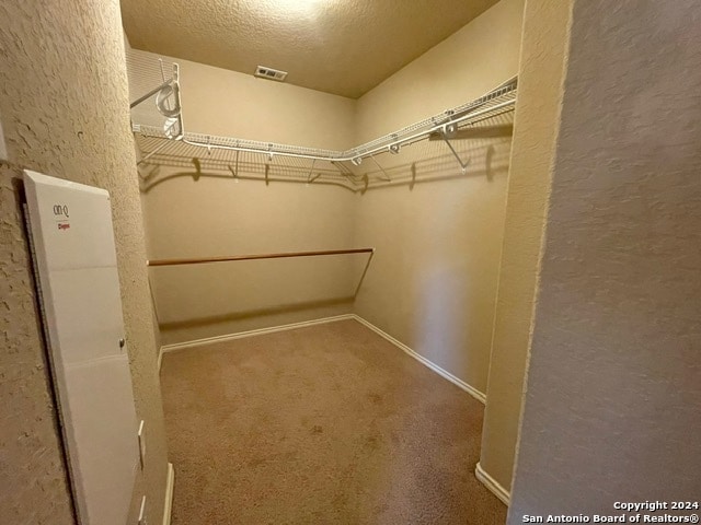 walk in closet featuring carpet floors