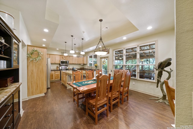 dining room featuring a raised ceiling and dark hardwood / wood-style floors