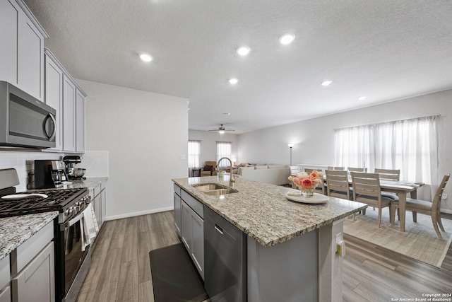 kitchen with a wealth of natural light, sink, stainless steel appliances, and light wood-type flooring