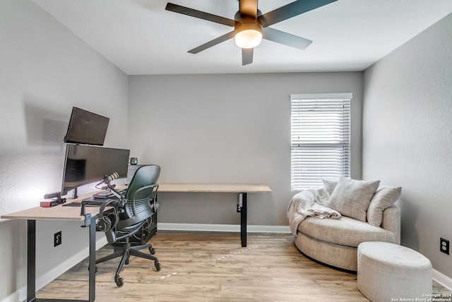 office space with ceiling fan and light hardwood / wood-style flooring