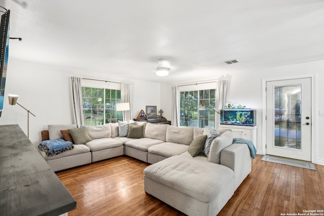 living room featuring wood-type flooring