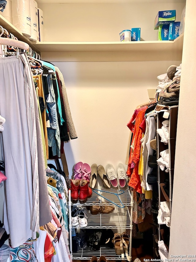 view of walk in closet