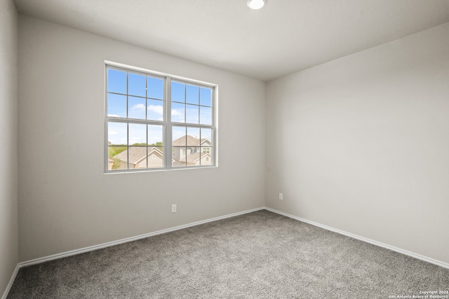 empty room with carpet flooring