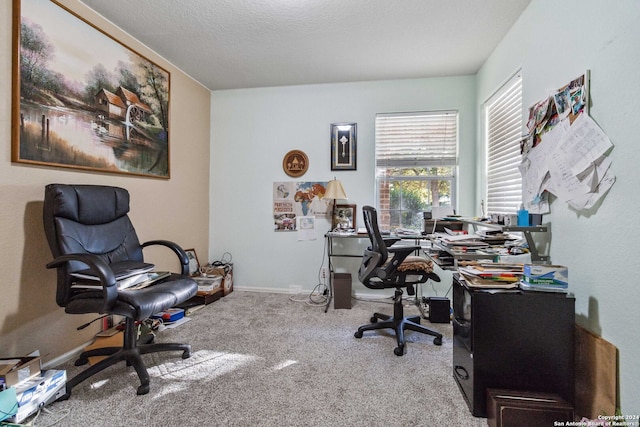 office area featuring carpet floors and a textured ceiling